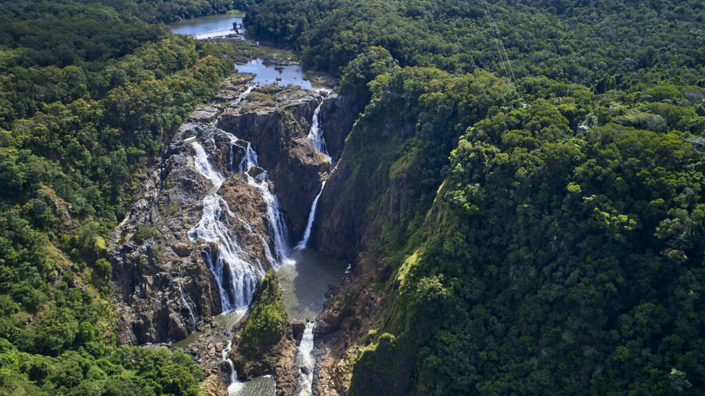 Skyrail Rainforest Cableway