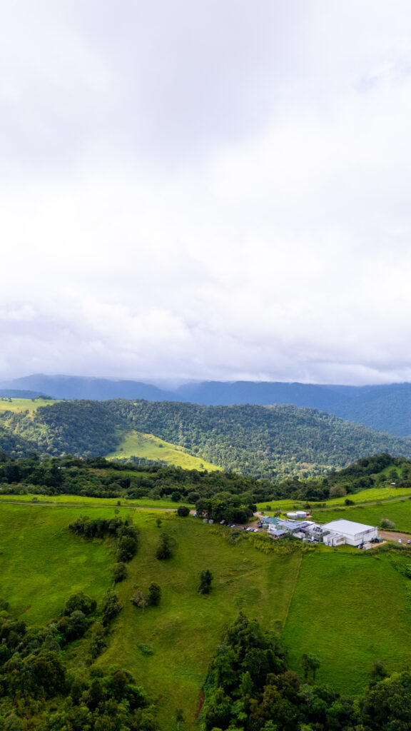 Mungalli Creek Dairy